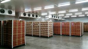 chiller de conservación